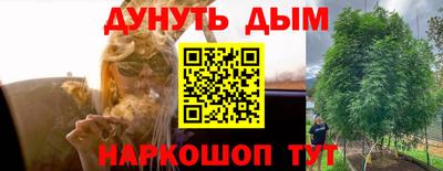 ешки Будённовск