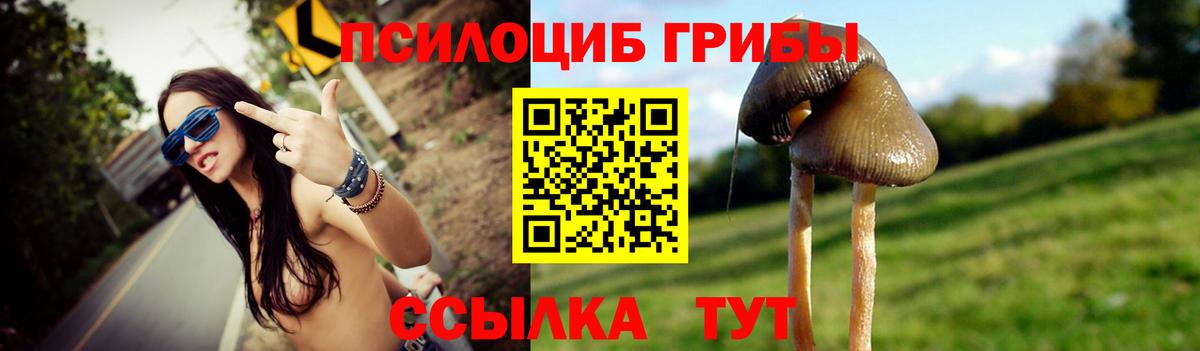 Галлюциногенные грибы мухоморы Красный Сулин